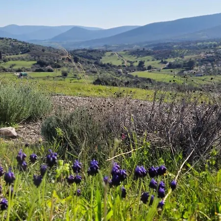 Newlands- - Und Berge- By Interhome Holiday home *