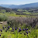 Newlands- - Und Berge- By Interhome Hébergement de vacances *